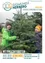 Zwei Kinder in Winterkleidung halten einen Weihnachtsbaum. Der Junge trägt eine grüne Jacke und das Mädchen eine schwarze Jacke und einen gelben Hut. Sie lächeln und scheinen für ein Foto zu posieren. Der Hintergrund zeigt einen Weihnachtsbaum-Baumgarten.