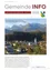 Die Titelseite des Jahresrückblicks 2010 von Gemeinde Schins zeigt eine Berglandschaft mit einem Dorf darunter. Eine Botschaft des Bürgermeisters, Harald Sonderegger, wünscht allen ein frohes Weihnachtsfest und ein gutes neues Jahr.