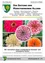 Juni 2025 Werbung für Alland, Österreich, mit Zinnienblumen und Grüßen für einen wunderbaren Sommer und erholsame Ferien.