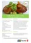 Rezept für Süßkartoffel-Linsen-Pattys mit Joghurt-Karotten-Sauce. Zutaten: 450g Süßkartoffeln, 200g rote Linsen, 1 Knoblauchzehe, 2 Schalotten, 3 EL Sesam und mehr. Zubereitung: Süßkartoffeln und Linsen kochen, dann mit anderen Zutaten mischen und Patties formen.