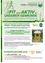 Der Informationsflyer der Marktgemeinde Dobl-Zwaring vom Februar 2023 fördert den Bau und die Gestaltung von Vogelhäuschen. Das Workshop am 11. März 2023 bietet Einblicke in Vogelarten und lokale Flora, mit einem Preis von 12 Euro, von denen die Gemeinde die Hälfte übernimmt. Die Anmeldefrist endet am 03. März 2023.
