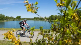 Eine Person fährt mit einem Fahrrad am Ufer eines Sees entlang, umgeben von üppigem Grün und klarem blauem Himmel.