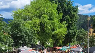 Ein rot-weißes Fahrzeug steht in der Nähe einer Menschenmenge, von denen viele unter Regenschirmen stehen. Im Hintergrund sind Bäume und ein gelbes Gebäude zu sehen.