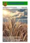 Amtliche Mitteilung der Gemeinde Feistritz. Ausgabe 02/2025. Weizenfeld unter einem goldenen Sonnenuntergangshimmel, der eine ländliche, landwirtschaftliche Umgebung hervorhebt.