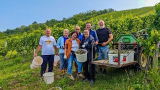 Eine Gruppe von Menschen in einem Weinberg, lächelnd und mit vollen Traubenkörben. Der Hintergrund zeigt einen mit Weinreben bedeckten Hügel.