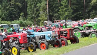 Mehrere Oldtimer-Traktoren sind auf einem Grasfeld geparkt. Sie sind in verschiedenen Farben, einschließlich rot, blau und grün. Einige Leute sitzen darauf, andere stehen herum. Die Traktoren stehen vor einem Wald mit hohen Bäumen.