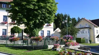 Ein sonniger Tag mit einer grünen Straßenlaterne und bunten Blumen vor einem Haus mit Balkon und Bäumen.