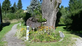 Ein Garten mit einer Vielzahl von Blumen und einem Metallschild mit dem Wort 'Wildblumenweg'. Bäume und Grün umgeben das Gebiet. In der Ferne gibt es ein Gebäude und einen klaren blauen Himmel.
