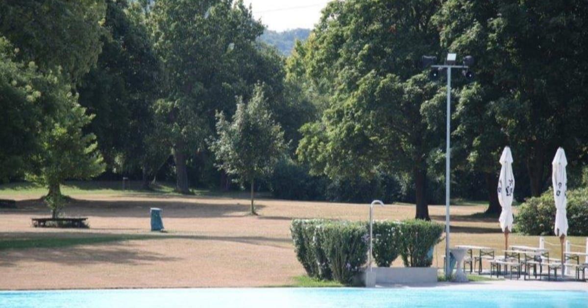 Ein Außenbereich zeigt ein großes Feld mit spärlichem Gras, umgeben von Bäumen und Büschen. Im Vordergrund ist ein Pool zu sehen, mit einer Straßenlaterne und Bänken in der Nähe.