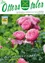 Amtliche Mitteilung der Marktgemeinde St. Peter am Ottersbach. Ein Poster mit Rosen, einem Logo und einer Website-Adresse. Ausgabe 411, Juli 2025.
