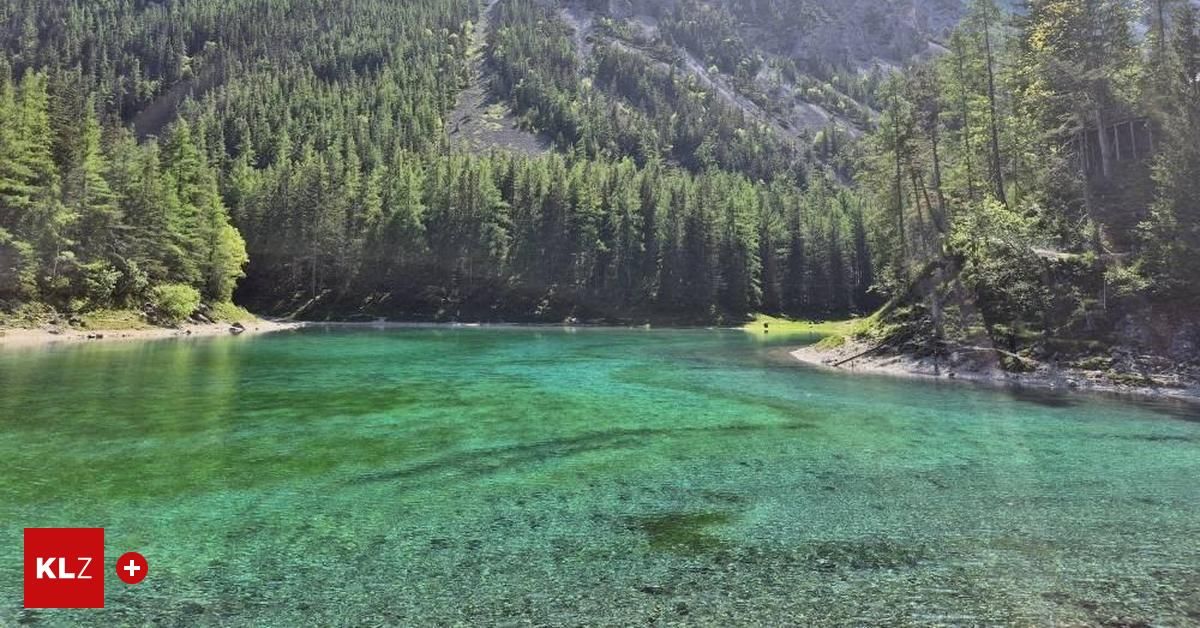 Ein ruhiger See mit klarem grünem Wasser, umgeben von dichtem Wald und felsigen Bergen.