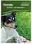 Ein Buchcover mit einem Nahaufnahme eines schwarzen und weißen Jack Russell Terriers mit deutschem Text 'Sicher Verstehen' und 'Der Weg zu einem harmonischen Zusammenleben'.