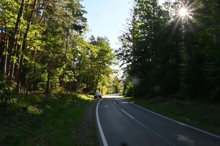 Ein Auto am Straßenrand in einem Wald, helles Sonnenlicht bricht durch die Bäume.