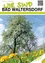 Titelseite eines lokalen Gemeindeblattes aus Bad Waltersdorf, das einen großen blühenden Baum unter einem teilweise bewölkten Himmel zeigt. Der Text lautet 'BAD WALTERSDORF', darunter in kleineren Lettern steht, dass es sich um die offizielle Informationsschrift handelt, 7. Jahr, April 2021, Ausgabe Nummer 1.