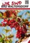 Ein lebendiges Bild roter Beeren und Blätter aus dem Gemeindeblatt Bad Waltersdorf, datiert auf 7. Oktober 2023, mit einem natürlichen und herbstlichen Thema.