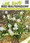 Ein Poster zeigt eine Gruppe weißer Blumen, beschriftet mit 'Bad Waltersdorf' und 'Frohe Ostern!' Die Blüten haben grüne Stängel und sind von einigen grünen Blättern umgeben. Der Hintergrund besteht aus einer Mischung aus grünem Gras und brauner Erde.