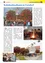 Das Bild zeigt eine Collage mit mehreren Bildern. Ein Bild zeigt eine Gruppe von Menschen, die vor einem Baum stehen, ein anderes zeigt ein Feuerbecken mit Leuten darum herum und das dritte Bild ist eine Nahaufnahme einer Girlande, die an einem Gebäude hängt.