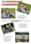 Gruppe von Kindern, die ein Picknick auf einer Wiese genießen. Bildunterschriften lauten 'Nach einem langen Spaziergang freuen sich die Kinder besonders auf das Picknick im Grünen!' und 'Gemeinsam mit den Kindern werden die Hochbeete im Kindergarten/Kinderkrippe bepflanzt und gepflegt!'.