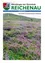 Das Titelbild einer Ausgabe vom November 2019 von Reichenau zeigt ein Feld mit lila Blumen und einem Bergrücken im Hintergrund.