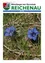 April 2023 Titelbild einer Zeitschrift mit zwei blauen Blumen in einem Grasfeld mit trockenen Blättern und Zweigen.