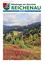 Eine Landschaft mit bewaldeten Bergen und roten Blumen im Vordergrund, bedeckter Himmel. Oktober 2025 oben.
