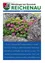 Juni 2020 Zeitschriftencover mit einem Felsen, auf dem rosa Blumen wachsen. Die Bildunterschrift handelt von den Herausforderungen der letzten Wochen.