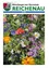 Ein lebendiger Garten mit einer Vielzahl von Blumen im Juli 2022, mit roten Mohnblumen, lila Kornblumen, weißen Gänseblümchen und orangefarbenen Ringelblumen.