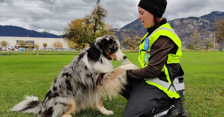 A woman in a yellow safety jacket kneels on a grassy field with a black and white dog, offering it water from a bottle. In the background, there are trees, mountains, and a building.