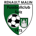 Das Emblem des Sulzer Fußballclubs, gegründet 1973, zeigt einen Fußball, ein Wappen und den Vereinsnamen in kräftigem Grün und Weiß auf schwarzem Hintergrund.