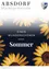 Ein Poster mit mehreren Sonnenblumen in Gelb- und Orangetönen vor dunklem Hintergrund. Die Worte 'Einen wunderschonen Sommer' stehen in Weiß oben.