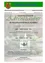 Ein Flyer der Gemeindeinfo Feistritztal bewirbt Adventzauber-Veranstaltungen am 26. und 27. November. Am Samstag findet um 14:30 Uhr eine Adventkranzsegnung mit Bruder Markus und Geschichten von Elfi Grob statt. Am Sonntag verbreiten Kinder der Musikschule Weihnachtsstimmung, gefolgt von Zauberer Freddy Cool um 14:30 Uhr. An beiden Tagen gibt es einen Adventmarkt.