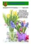 Eine offizielle Mitteilung der Gemeinde Feistritztal. Blumen und Ostereier in Vasen. Frohe Ostern und sonnige Feiertage wünschen Bürgermeister Josef Lind, alle Mitglieder des Gemeinderats und die Mitarbeiter der Gemeinde Feistritztal. Ausgabe 01/2021.