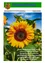 Ein Gemeindeblatt aus Feistritz vom Februar 2023 zeigt eine Sonnenblume mit rotem Zentrum vor blauem Himmel. Es wünscht einen erholsamen Sommer und schöne Ferien.