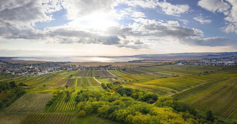 Luftaufnahme einer weitläufigen ländlichen Landschaft mit Feldern, Bäumen und einer entfernten Wasserfläche unter einem teilweise bewölkten Himmel.