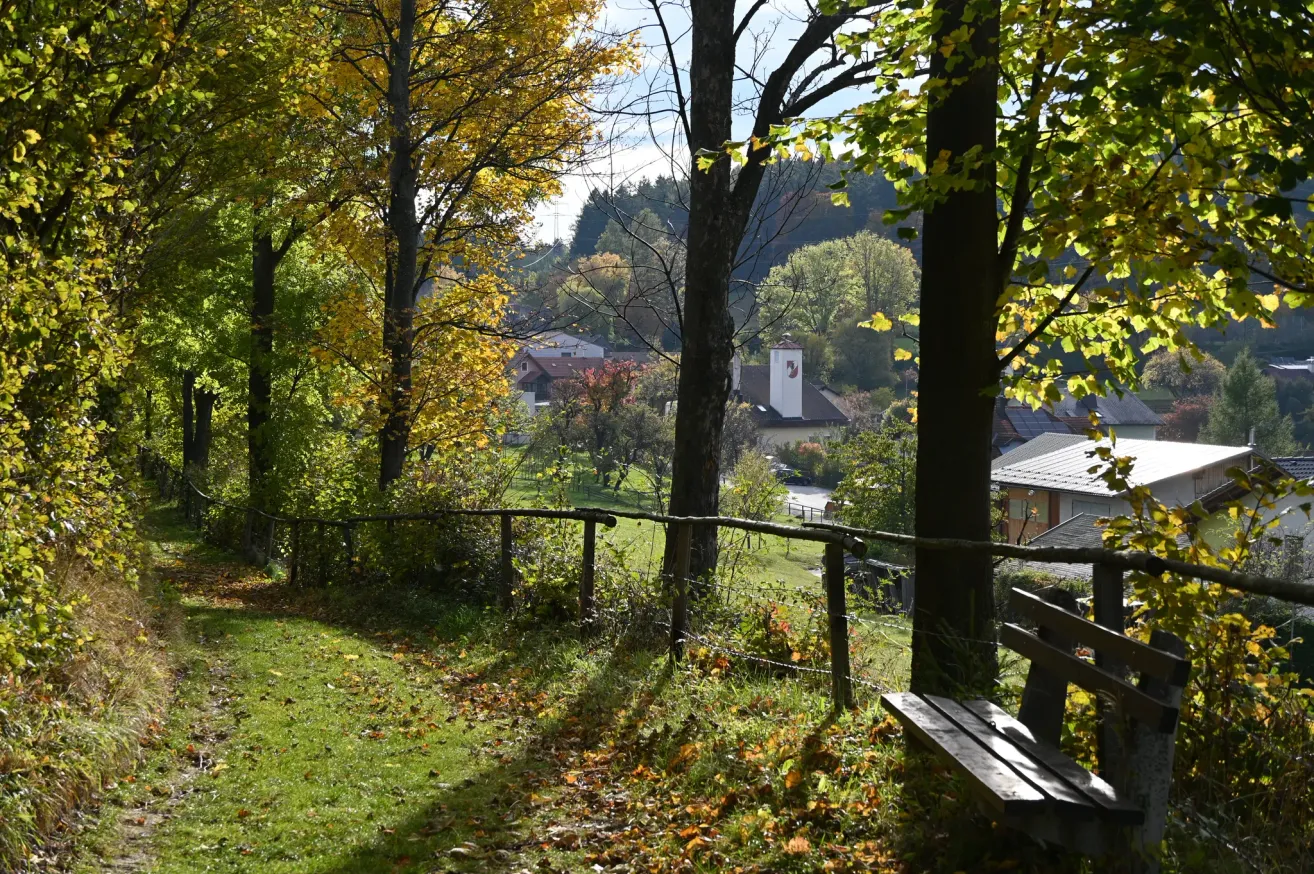 Eine friedliche Herbstszene mit einer Holzbank, bunten Blättern und einem Blick auf Häuser und Bäume in der Ferne unter einem hellen Himmel.