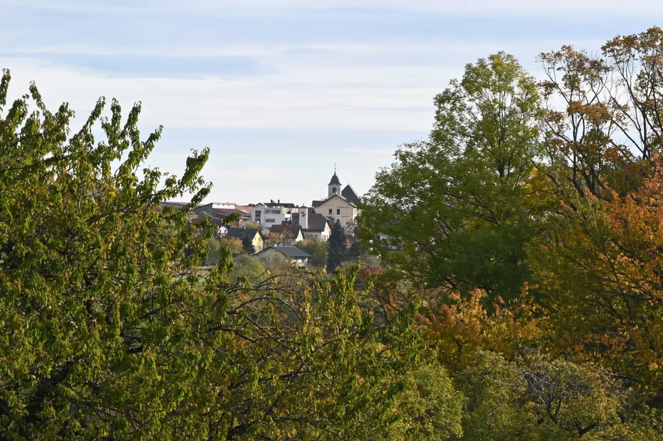 Luftaufnahme eines Dorfes mit Gebäuden und Bäumen. Das Dorf ist von Bäumen mit grünen und gelben Blättern umgeben.