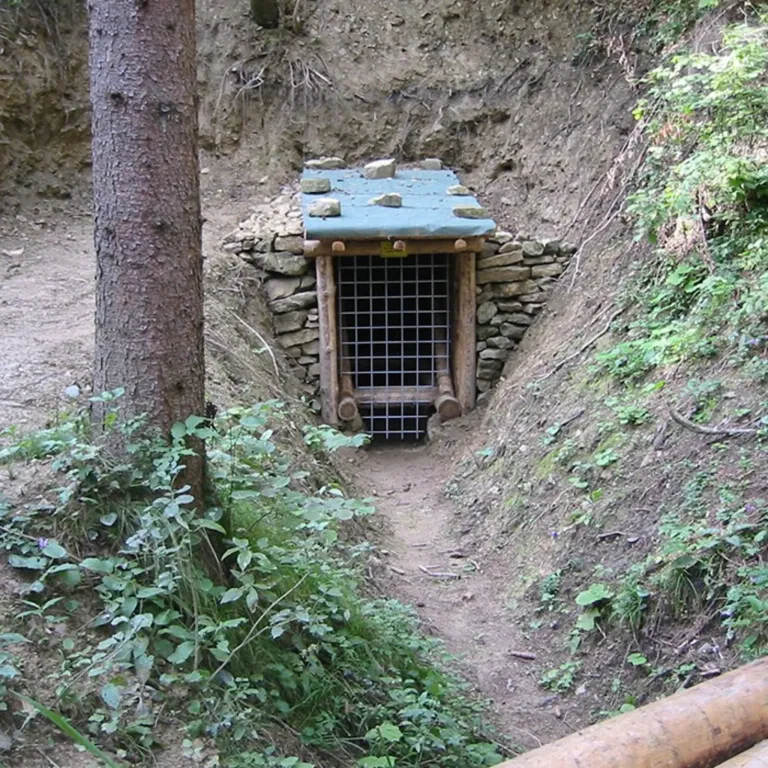 Eine kleine Steinhütte mit einem blauen Dach und einem Metalltor ist in einen Hang eingebettet, umgeben von Grünpflanzen und einem großen Baumstamm.