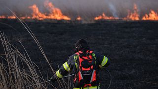 Ein Feuerwehrmann in einem schwarzen und gelben Uniform spritzt Wasser in einem Feld mit brennendem Gras.