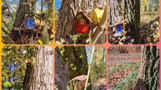 Eine Collage aus sechs Bildern, die kleine Feenhäuser zeigt. Das erste Bild zeigt eine blaue Tür an einem Baumstamm. Das zweite zeigt ein rotes Haus mit einer weißen Blume. Das dritte zeigt wieder eine blaue Tür an einem Baumstamm. Das vierte zeigt einen Baumstamm mit einem braunen Haus. Das fünfte zeigt einen Baumstamm mit einem roten Markierungsstrich. Das sechste zeigt einen Grasbereich mit verstreuten Blättern.