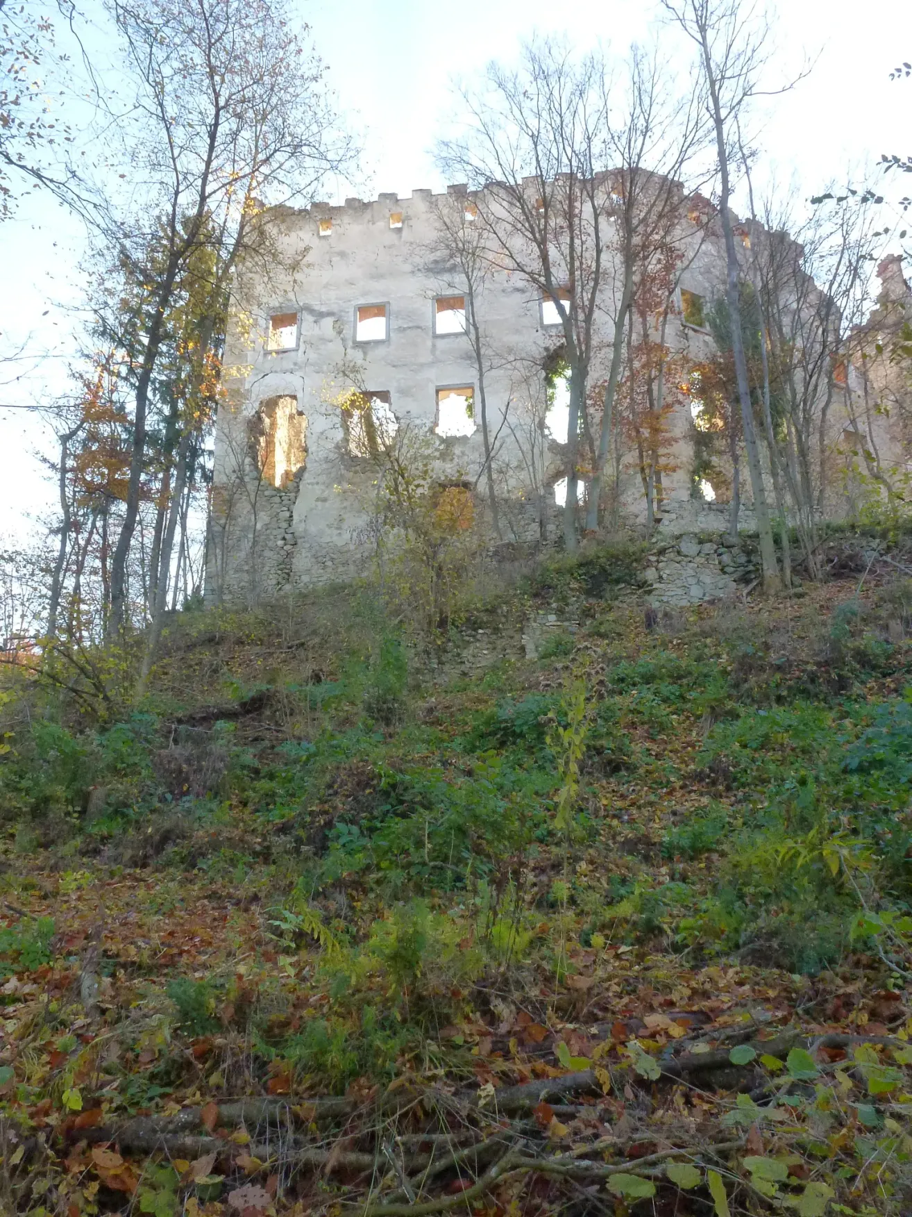 An old castle ruin stands on a hill surrounded by trees and plants, with some windows missing and a few fallen leaves.