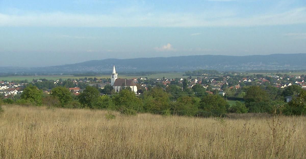 Luftaufnahme eines kleinen Dorfes mit einer Kirche, umgeben von grünen Feldern und Bäumen, unter einem klaren blauen Himmel mit entfernten Bergen.