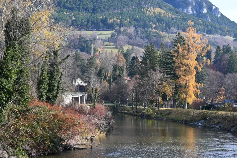 A river flows through a lush forest, with trees and plants of various colors. A house stands near the river, and a mountain rises in the background.