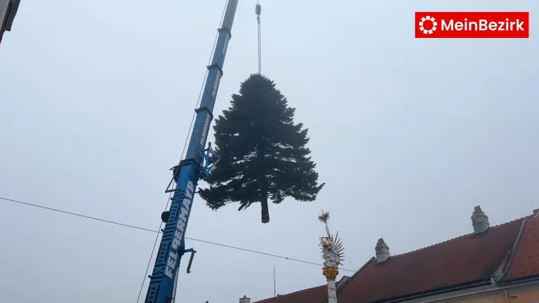 A crane is lifting a large evergreen tree to place it above a building with a red roof.