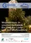 Ein Plakat mit einem geschmückten Weihnachtsbaum und deutschem Text. Es lädt ein, Weihnachten in der Gemeinde zu erleben. Eine Website-Adresse und Social-Media-Handles werden bereitgestellt.