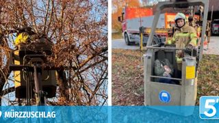 A firefighter holds a rescued cat in a vehicle. A tree with no leaves is being cut.