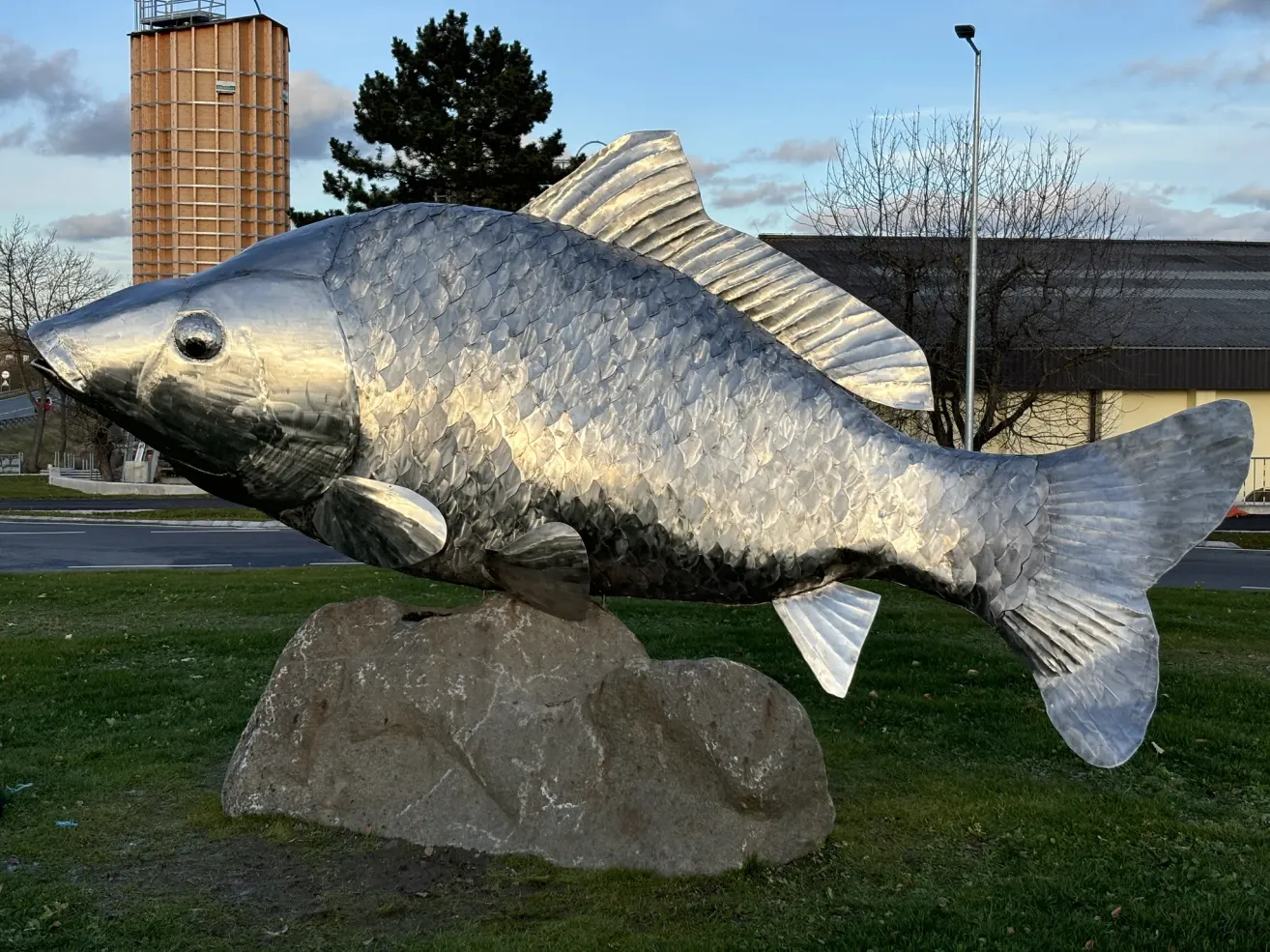 A large metallic fish sculpture sits atop a rock in a grassy area. Behind it, there is a building and a silo, with trees and a streetlight visible in the background.