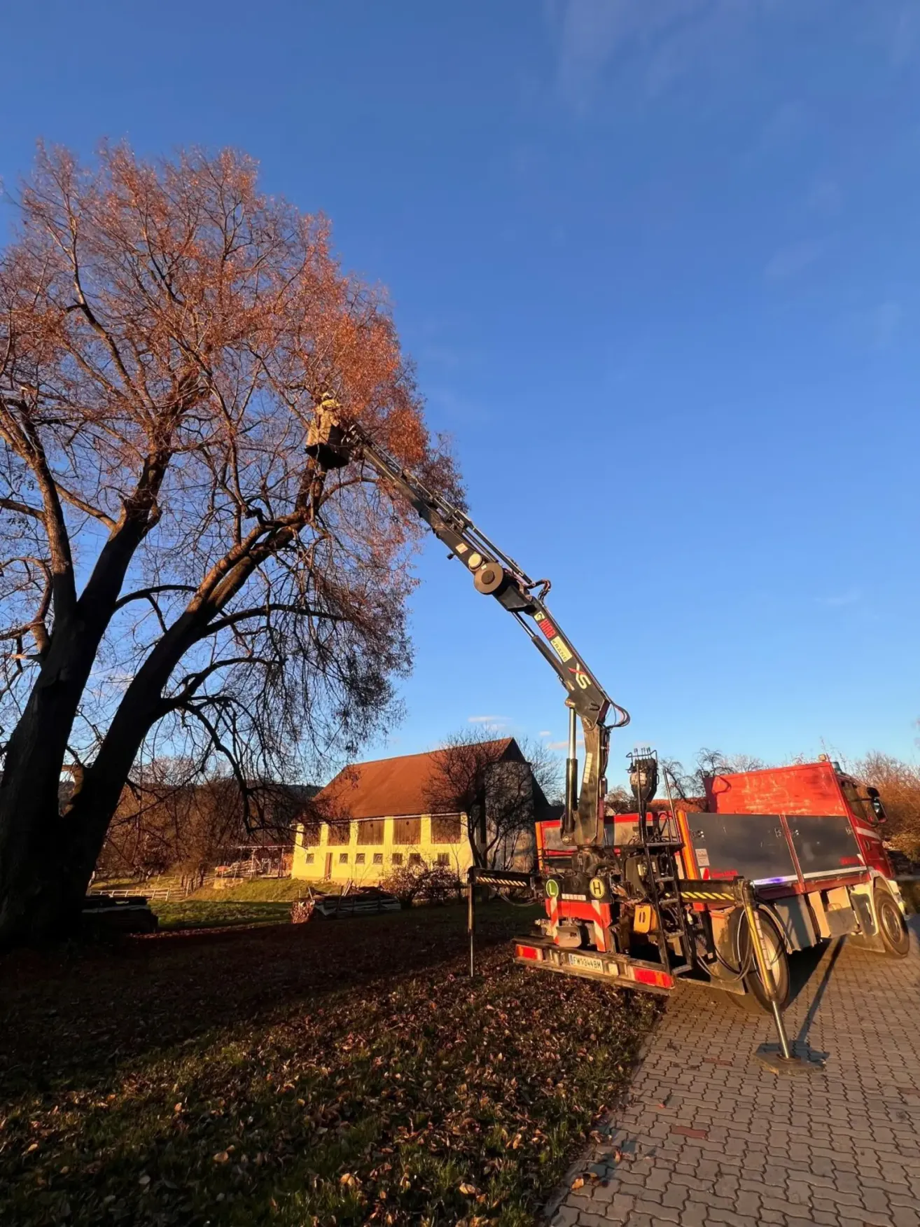 A cherry picker crane is positioned next to a large tree with red leaves in a field. A yellow house is visible in the background.
