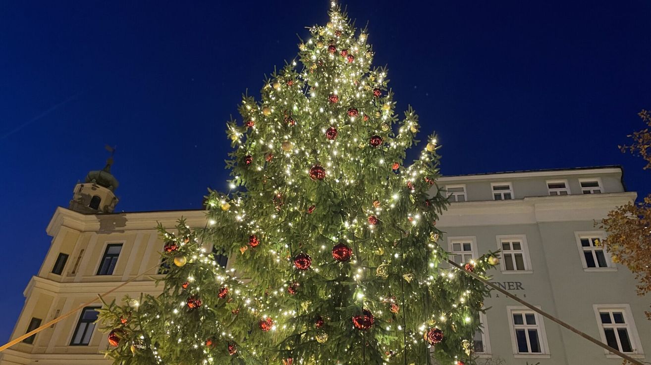 Ein großer Weihnachtsbaum ist mit roten Ornamenten und weißen Lichtern geschmückt und steht vor einem Gebäude in der Nacht.