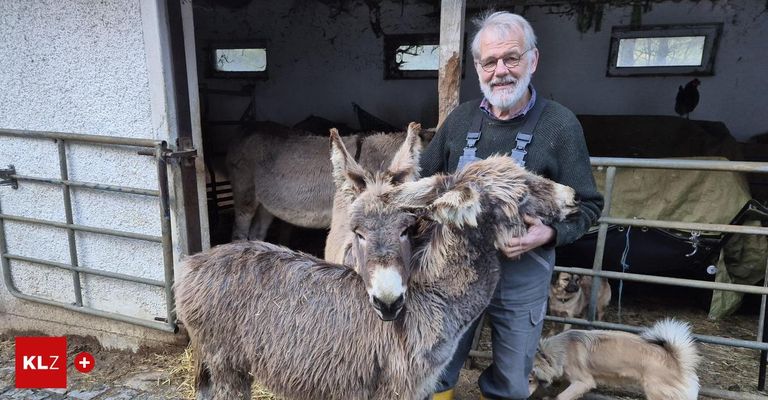 Ein älterer Mann mit Brille und suspenders steht in einer Scheune, hält einen Esel und zwei Hunde beobachten. Dahinter stehen zwei weitere Esel.