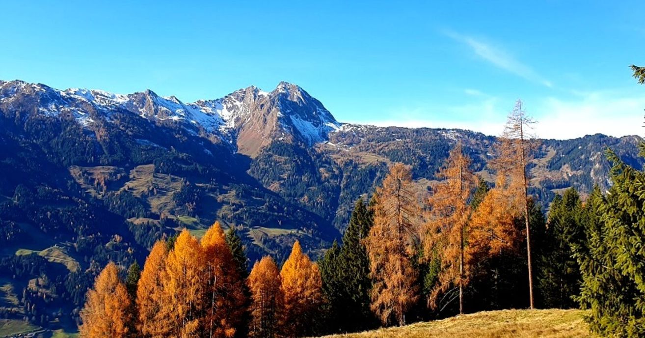 A mountain landscape with snow-capped peaks, lush green and orange trees, and a clear blue sky.